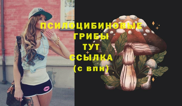 мяу мяу мука Краснослободск