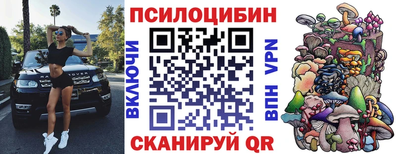 Купить  Кандалакша  Галлюциногенные грибы прущие грибы 